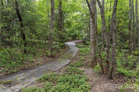 101 Greenleaf Dr, Flat Rock, NC 28731 photo 39
