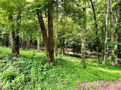 1237 Hershel Plyler Rd, Lancaster, SC 29720 photo 14