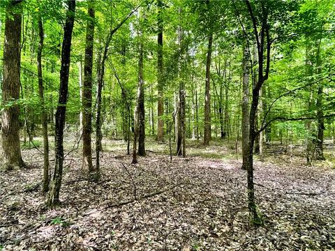 1237 Hershel Plyler Rd, Lancaster, SC 29720 photo 12