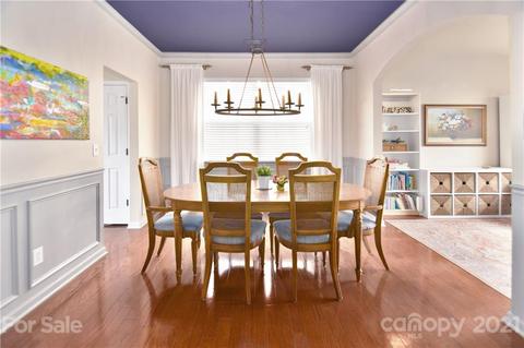 10924 Sand River Ct, Davidson, NC 28036 photo 5