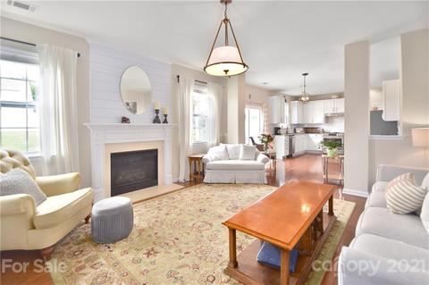 10924 Sand River Ct, Davidson, NC 28036 photo 9
