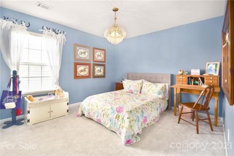 10924 Sand River Ct, Davidson, NC 28036 photo 17