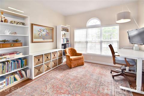 10924 Sand River Ct, Davidson, NC 28036 photo 3