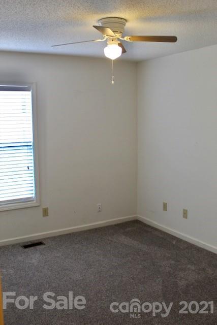 3909 County Home Rd, Conover, NC 28613 photo 10