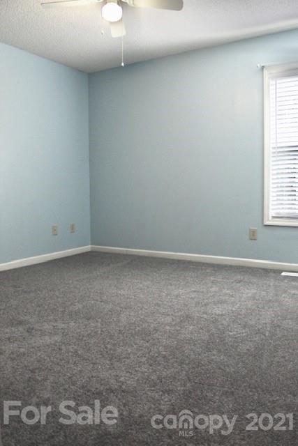 3909 County Home Rd, Conover, NC 28613 photo 11