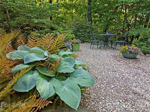 545 Sandy Ln, Brevard, NC 28712 photo 37