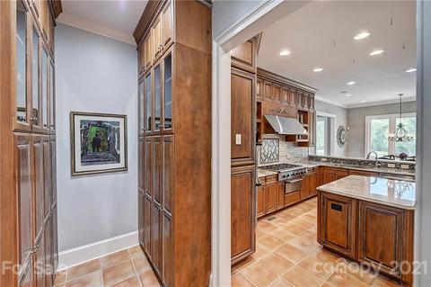 13710 Robert Walker Dr, Davidson, NC 28036 photo 24