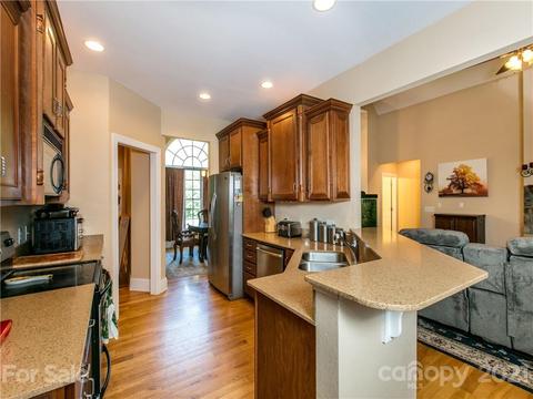 113 Bridge Ln, Tryon, NC 28782 photo 11