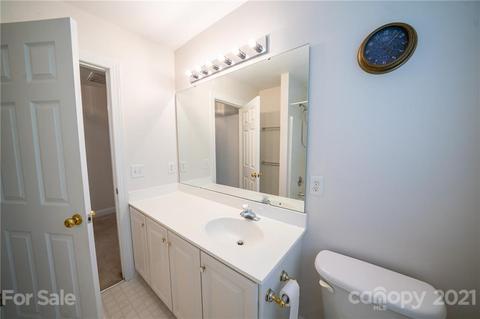 20215 Hammock Oak Dr, Cornelius, NC 28031 photo 20