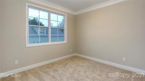 4370 Riverton Loop, Denver, NC 28037 photo 4