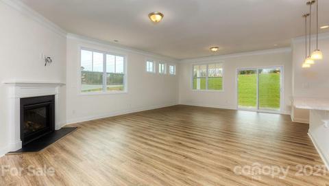 4370 Riverton Loop, Denver, NC 28037 photo 9