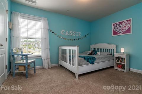 10012 Travertine Trl, Davidson, NC 28036 photo 26