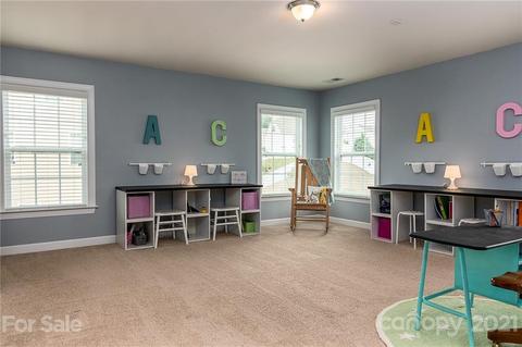 10012 Travertine Trl, Davidson, NC 28036 photo 31