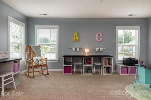 10012 Travertine Trl, Davidson, NC 28036 photo 32