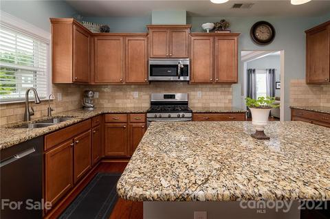 10012 Travertine Trl, Davidson, NC 28036 photo 11