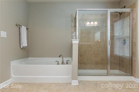 10012 Travertine Trl, Davidson, NC 28036 photo 24