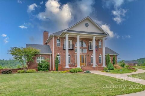 2221 Pea Ridge Rd, Mill Spring, NC 28756 photo 10