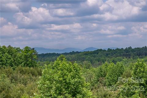 2221 Pea Ridge Rd, Mill Spring, NC 28756 photo 46