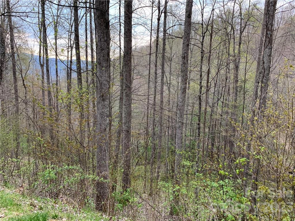 159 Dry Spring 159 Loop Unit 159  