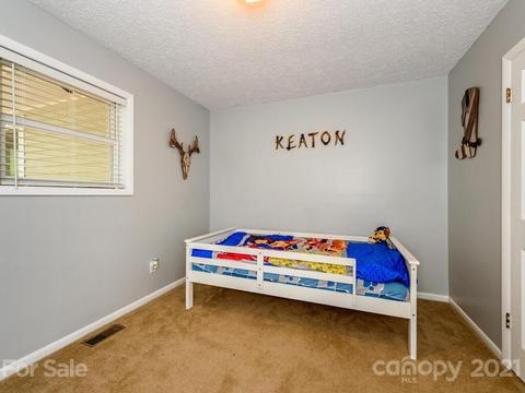 126 Snelson Rd, Alexander, NC 28701 photo 22