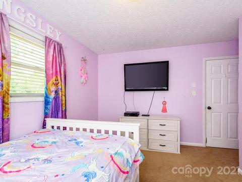 126 Snelson Rd, Alexander, NC 28701 photo 25