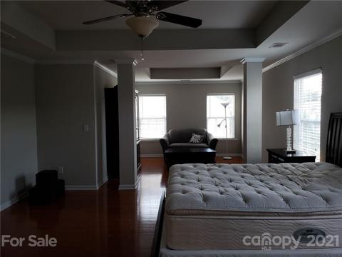 10911 Sand River Ct, Davidson, NC 28036 photo 4