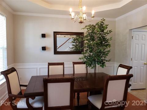 10911 Sand River Ct, Davidson, NC 28036 photo 2