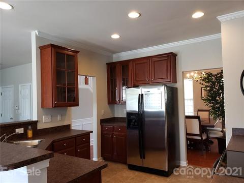 10911 Sand River Ct, Davidson, NC 28036 photo 3