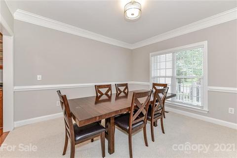 225 Anniston Way, Davidson, NC 28036 photo 8