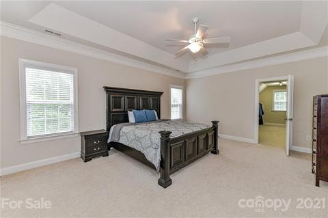 225 Anniston Way, Davidson, NC 28036 photo 23