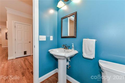 225 Anniston Way, Davidson, NC 28036 photo 19