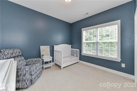 225 Anniston Way, Davidson, NC 28036 photo 30