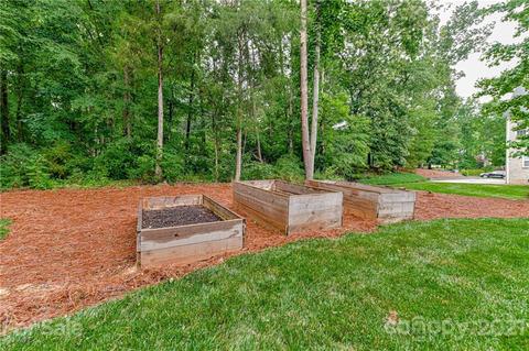 225 Anniston Way, Davidson, NC 28036 photo 36