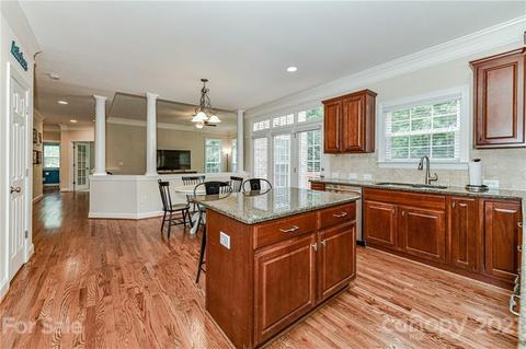 225 Anniston Way, Davidson, NC 28036 photo 15