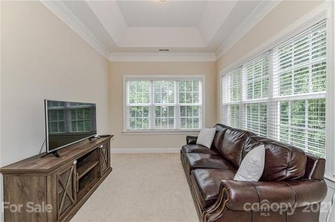 225 Anniston Way, Davidson, NC 28036 photo 25