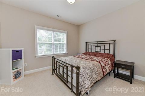 225 Anniston Way, Davidson, NC 28036 photo 29