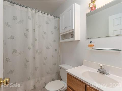 100 Ridgeline Rd, Clyde, NC 28721 photo 20