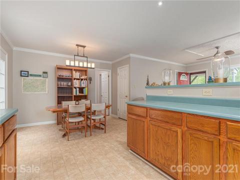 100 Ridgeline Rd, Clyde, NC 28721 photo 10