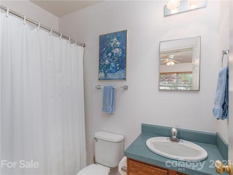 100 Ridgeline Rd, Clyde, NC 28721 photo 15