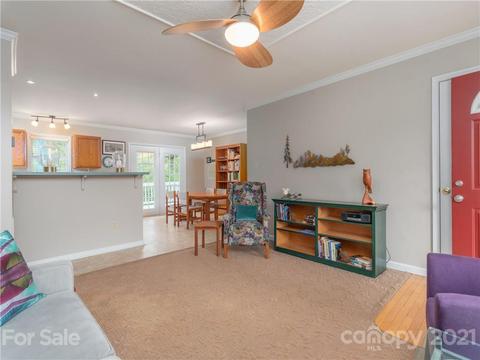 100 Ridgeline Rd, Clyde, NC 28721 photo 6