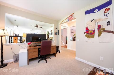 313 Annaberg Ln, Monroe, NC 28110 photo 14
