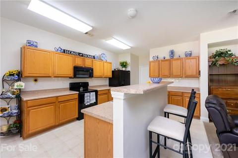 313 Annaberg Ln, Monroe, NC 28110 photo 8