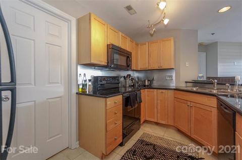 18619 Vineyard Point Ln, Cornelius, NC 28031 photo 18