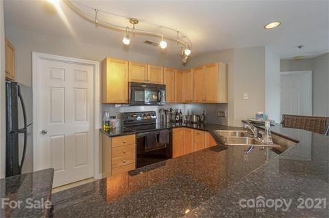 18619 Vineyard Point Ln, Cornelius, NC 28031 photo 16