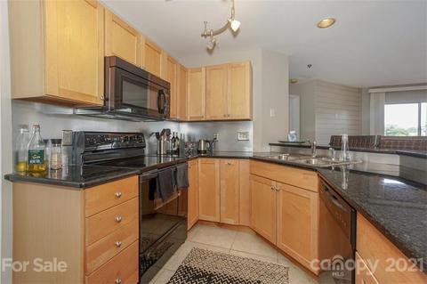 18619 Vineyard Point Ln, Cornelius, NC 28031 photo 17