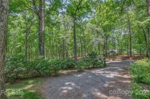 394 Red Fox Cir, Tryon, NC 28782 photo 45