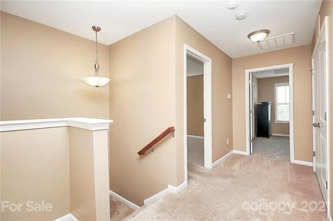 11048 Hat Creek Ln, Davidson, NC 28036 photo 17