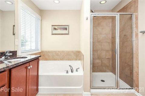 11048 Hat Creek Ln, Davidson, NC 28036 photo 16