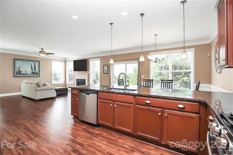 11048 Hat Creek Ln, Davidson, NC 28036 photo 11