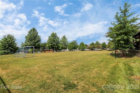 11048 Hat Creek Ln, Davidson, NC 28036 photo 28